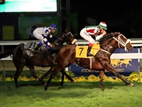 Boteco passou a régua e fechou a conta do Meeting do GP Brasil 2014