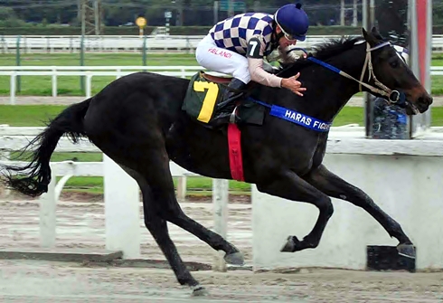 G2 para arenáticos a atração do simulcasting com Cidade Jardim