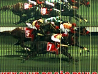 Em final emocionante, triunfo para o invicto e líder Il Doge no GP Farwell (G1)