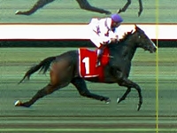 Com Ruan Maia perfeito, Off The Road assume liderança em SP vencendo o GP Immensity (G1)