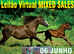 Pro Turfe: Após as corridas, Leilão Virtual Mixed Sales no Tattersall da Gávea