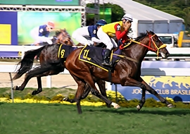 Paint Naif confirmou liderança com triunfo no GP Jockey Club Brasileiro (G1)