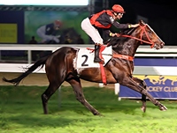 Big Wildcat não deu chance aos rivais na milha do GP Presidente Vargas (G3)