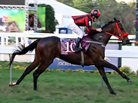 Balizamento: GP J. Adhemar de Almeida Prado – Taça de Prata de Potros (G1)