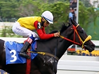 Balizamento: GP Margarida Polak Lara – Taça de Prata de Potrancas (G1)