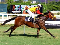 Confira os comentários de Fernando Lopes para as corridas de hoje, na Gávea