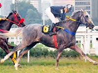 Listed para velocistas e Super Betting com R$ 19 mil no simulcasting com Cidade Jardim