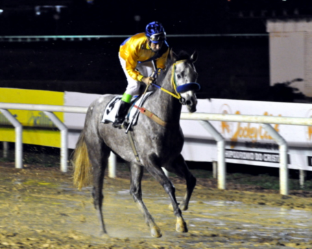 Uma ótima programação nesta quinta-feira, no Hipódromo do Cristal