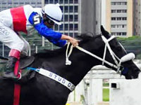 Super Betting com R$ 9 mil é a atração do simulcasting com Cidade Jardim