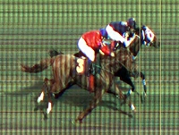 Orpheus largou e acabou no trial para o GP Ipiranga (G1)