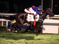 Queen Of Night alcança Emerald Fire para levar a P.E. Courageuse