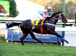 Em ótima marca, Velvet Boy conquistou o Clássico Eurico Solanés (L.)