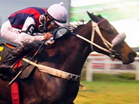 Dois Listeds e R$ 15 mil no Super Betting do simulcasting com Cidade Jardim