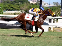 Confira os comentários de Fernando Lopes para as corridas de hoje, na Gávea