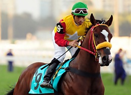 ADDED: 1ª parcela GP Linneo de Paula Machado (G1)