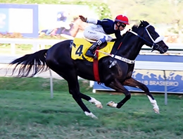 Desejado Put, bicampeão do GP Roberto Gabizo e Adhemar de Faria (G3)
