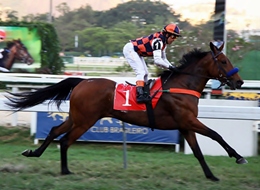 Desert Dream confirmou o favoritismo no GP Carlos Gilberto e Carlos Telles da Rocha Faria (G2)