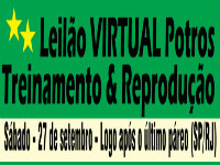 Pro Turfe: Catálogo do Leilão Virtual do próximo dia 27