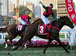 Outplay está fora do GP Jockey Club de São Paulo (G1)