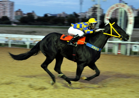 Doze páreos na reunião desta quinta-feira, no Hipódromo do Cristal
