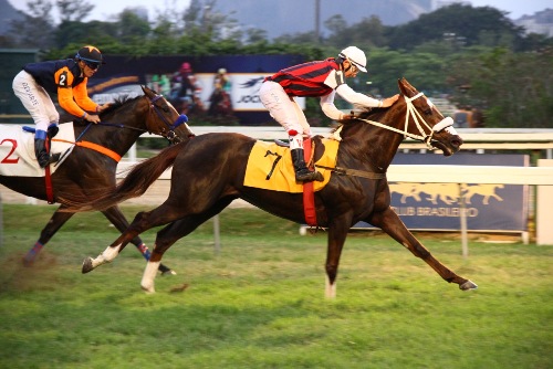 Billy Girl, a melhor no Grande Prêmio Marciano de Aguiar Moreira (G2)