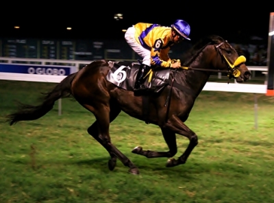 Quatro “cariocas” pré-inscritas no GP Diana (G1)