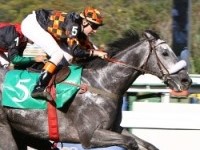 Lamborghini, Bonaparte e mais 12 pré-inscritos no GP Derby Paulista (G1)