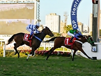Sempre pelo menor caminho, Last Kiss bateu Off The Road para conquistar o GP Henrique de Toledo Lara (G1)