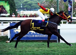 Em recorde, o líder Paint Naif esbanjou classe para vencer o GP Linneo de Paula Machado (G1)