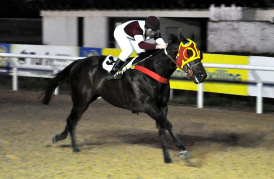 Uma boa programação nesta quinta-feira, no Hipódromo do Cristal