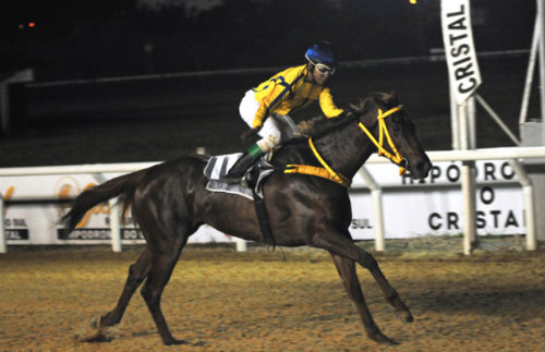 Hipódromo do Cristal promove dez páreos hoje