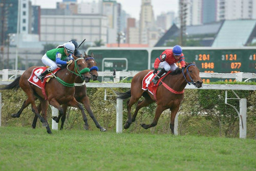 Contando com uma direção precisa de Vagner Leal, Birking Bag, do Stud TNT, é a rainha do GP Diana (G1)