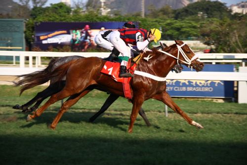 Blind Ambition confirma e vence o Grande Prêmio Costa Ferraz (G3)