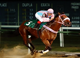 Chronnos, um galope de saúde no GP Hipódromo da Gávea (G3)