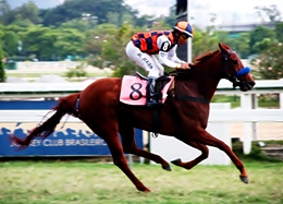 Mesmo largando com atraso, vitória para Crystal Clear na P.E. Clareira