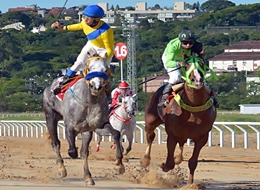 Whoopee Maker, o herói do GP Bento Gonçalves (G1)