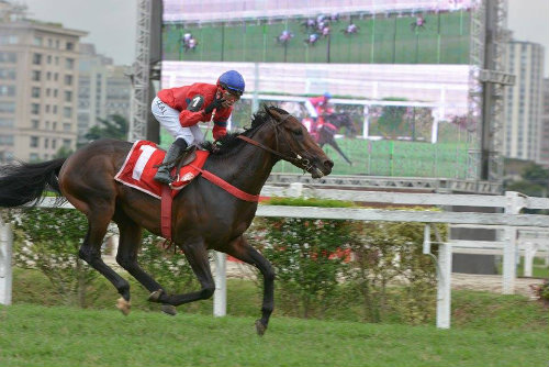 Em tarde do Stud TNT, Bonarparte vence o Derby Paulista (G1)