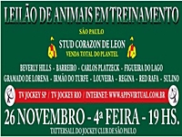 Leilão de Treinamento reunirá um bom lote de animais