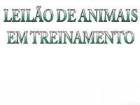 APPS: Nesta 4ª feira o Leilão de Treinamento terá início às 19h, pontualmente