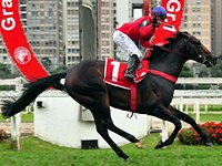 O derby-winner Bonaparte será mais um ganhador de G1 na abertura da Tríplice Coroa carioca