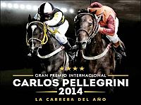 Sem Gober, Comical, Sultãodecascadura, Kip Keyno e Last Kiss representam a criação brasileira no festival do Pellegrini 2014