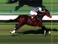 Bicampeonato de Zara no GP Edmundo Pires de Oliveira Dias (G3)