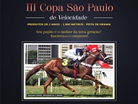 JCSP divulgou os 10 competidores da III Copa São Paulo de Velocidade
