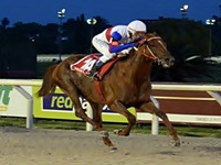 Hielo (Stud Coral Gables), brilhante bicampeão do GP Jose Pedro Ramirez (G1)