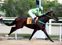 Arenático dos melhores, Hiper Negro venceu a Prova Especial Old Master