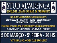 Excelente lote do Stud Alvarenga em leilão