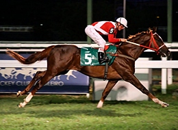 Rumo ao Derby, Bonitinhodomariom domina a P.E. Quiproquó