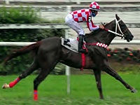 Geração 2012 é atração no simulcasting com Cidade Jardim
