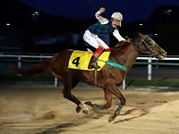 Harry Willian conquista a 1ª vitória de sua carreira