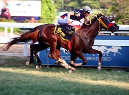 Na luta pela Coroa, January Jones terá treze adversárias no GP Diana (G1)